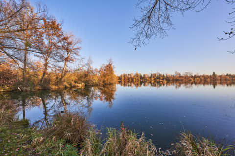 Gemeinde Kirchdorf Landkreis Rottal-Inn Waldsee Lago Herbst (Dirschl Johann) Deutschland PAN